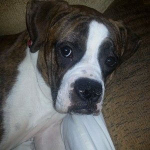 Meet your Posher, Donna